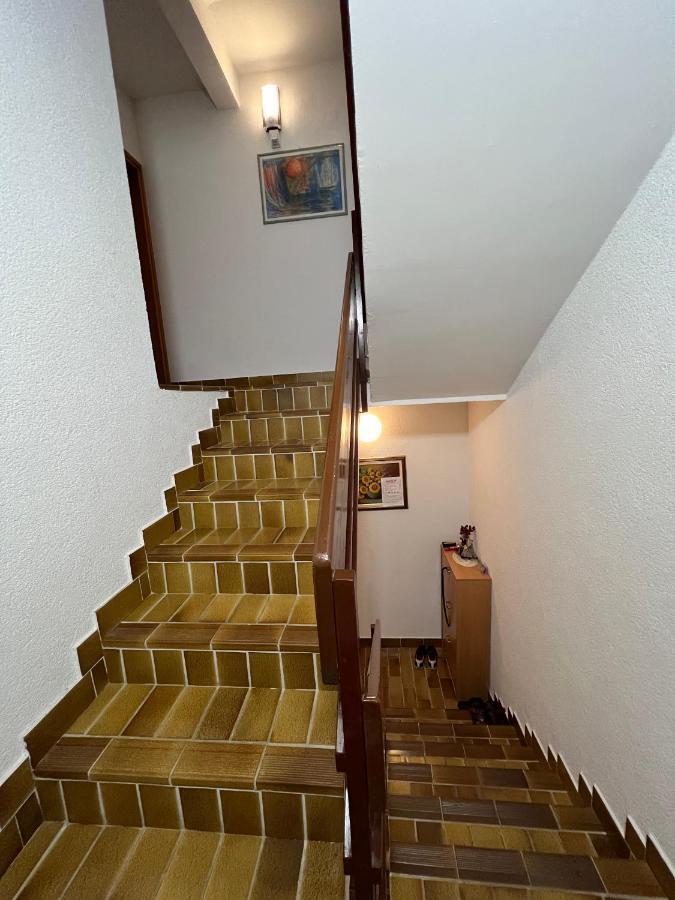 Beautiful Sea View Apartments - Niko Ceko Vrsar Zewnętrze zdjęcie